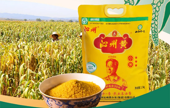 69d76c91079a0.jpg 69d76c91079a0.jpg